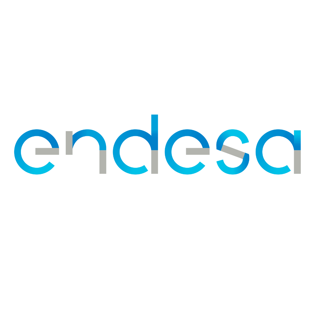 Endesa logo